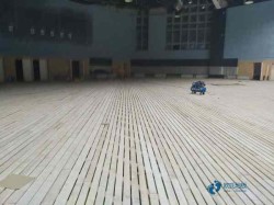 專業(yè)體育場地板施工隊